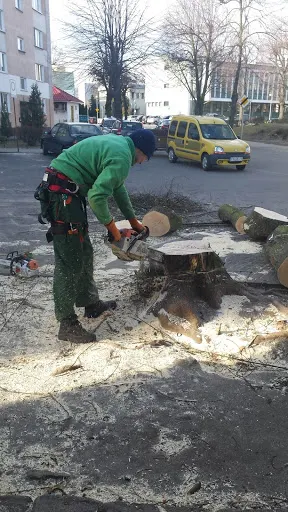 Projektowanie ogrodów Konin -Ogrodnik Damian